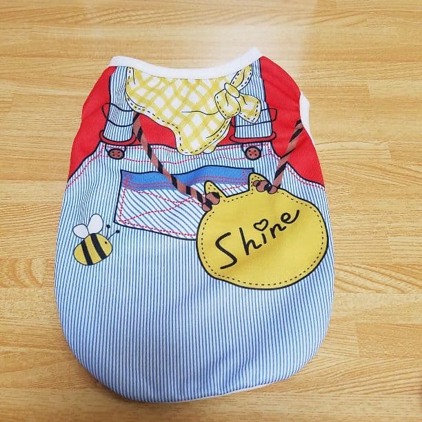 ディズニー風①