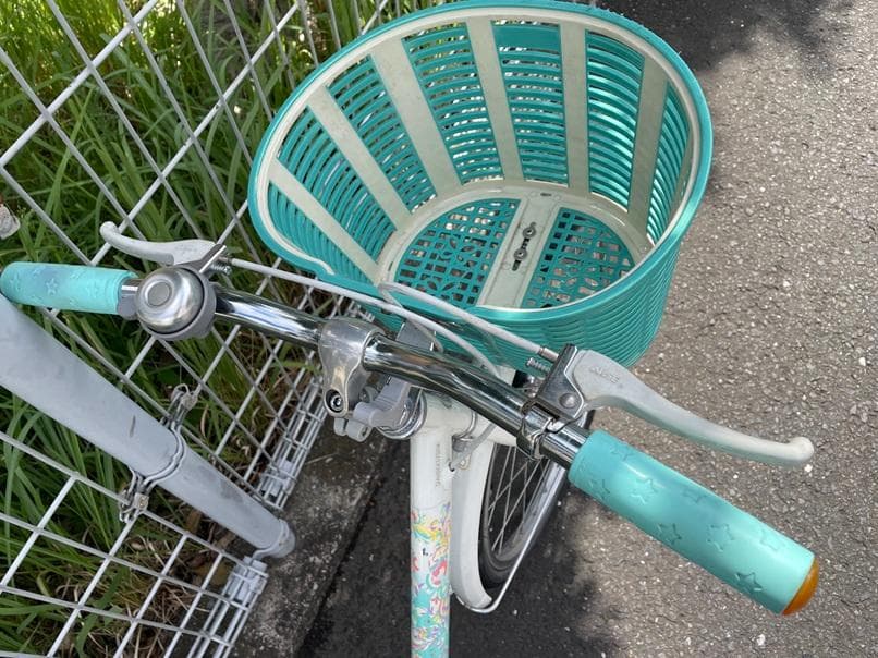 ブリヂストンECOPALエコパル22インチ-junior手渡しのみでお願いします