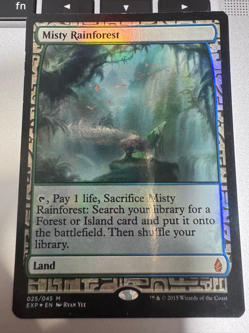 MTG 霧深い雨林 FOIL EXP 英語