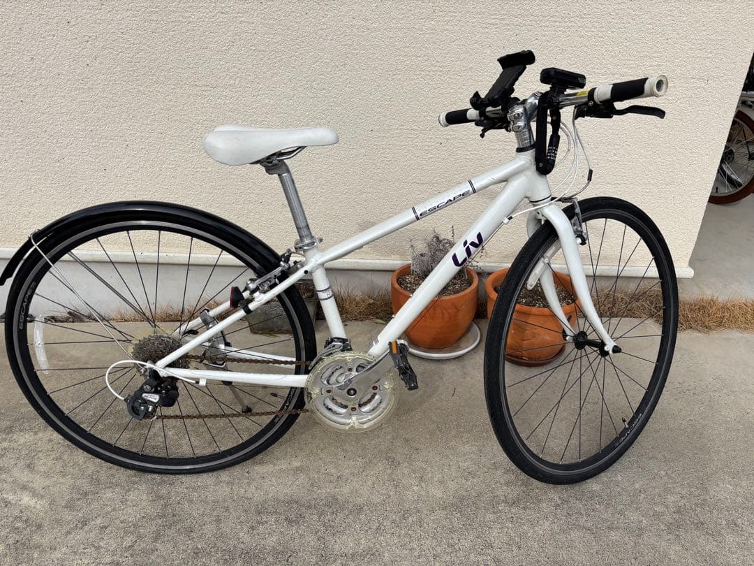 引き取り限定　LIV ESCAPE サイズXXS パンク状態