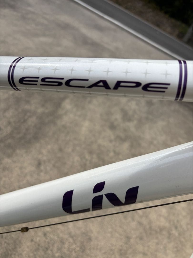 引き取り限定　LIV ESCAPE サイズXXS パンク状態