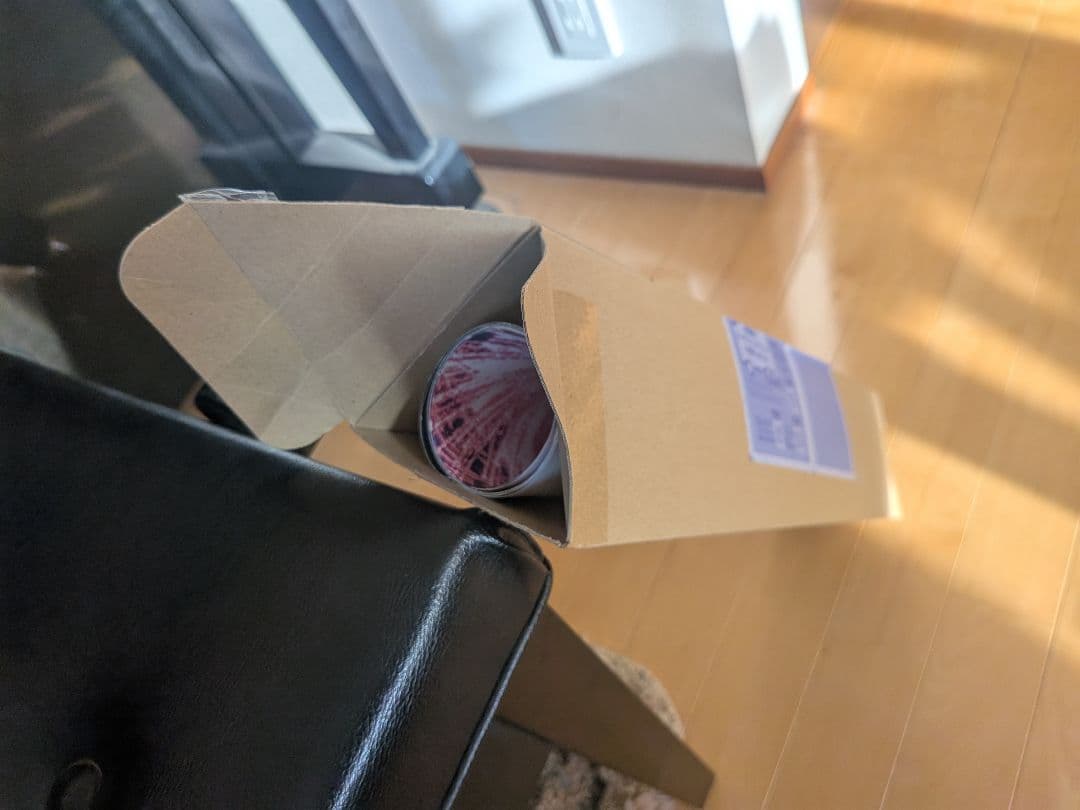 君は放課後インソムニア ポスター