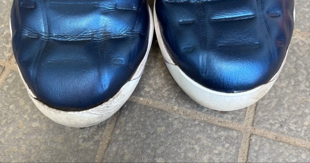 ミズノプロクッションレボ28.5センチ　備品