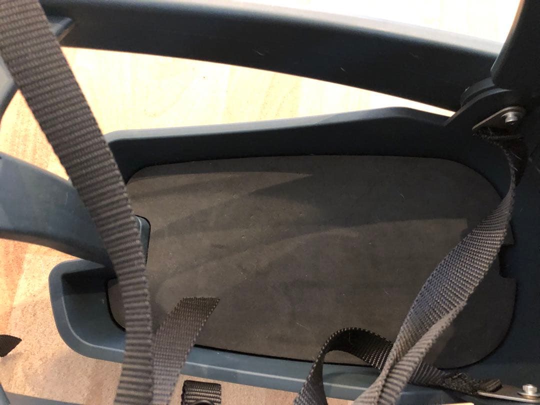 わんちゃんとサイクリング♪バディーライダー