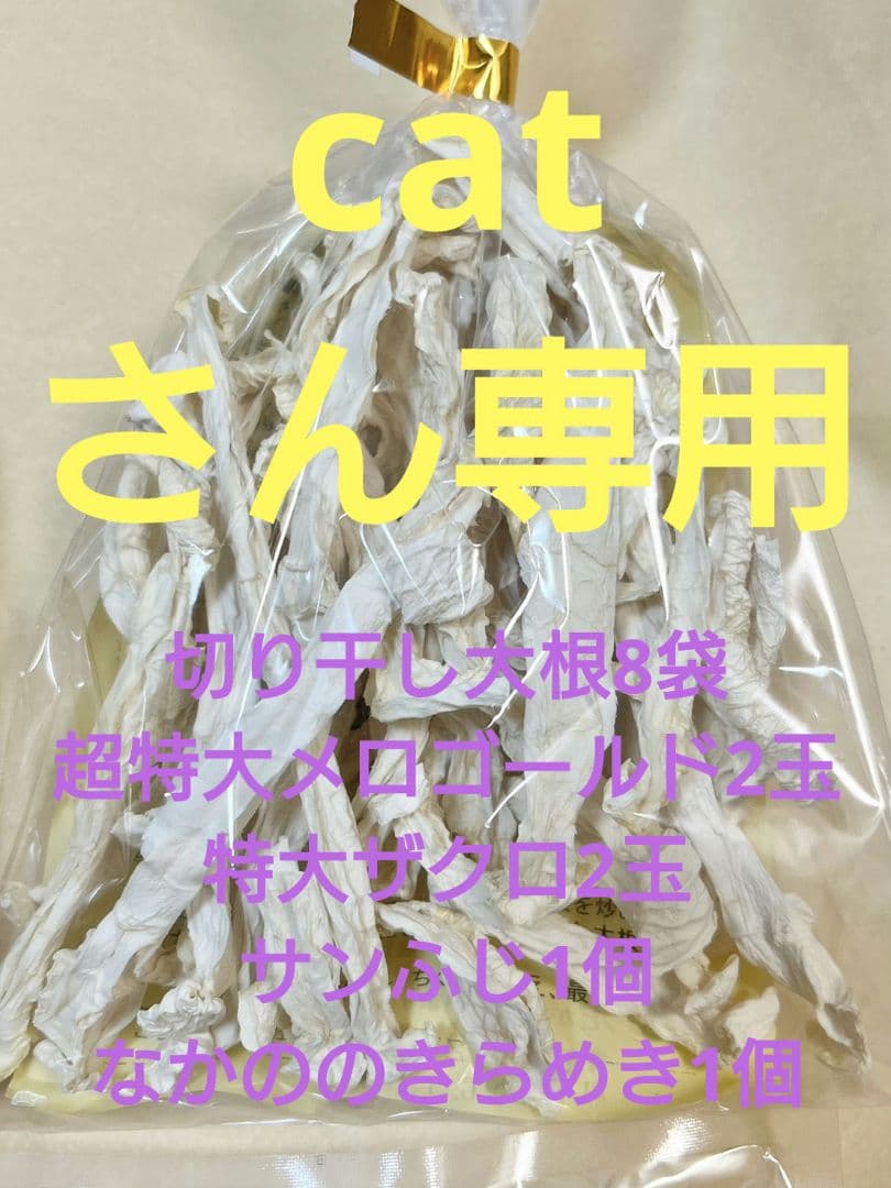 catさん専用