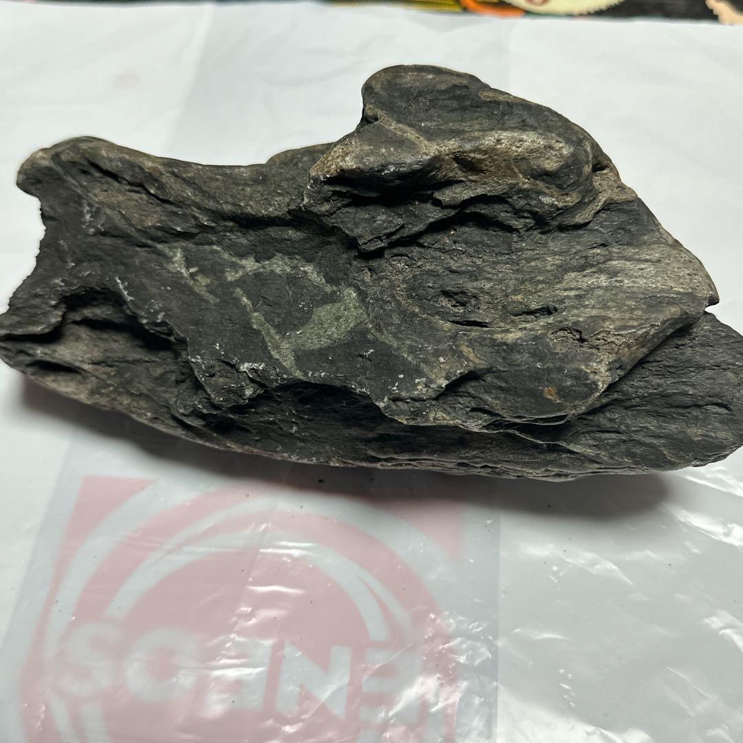 水石「千仏石」 天然石 2.7キロ盆栽等の置石、水槽等レイアウト