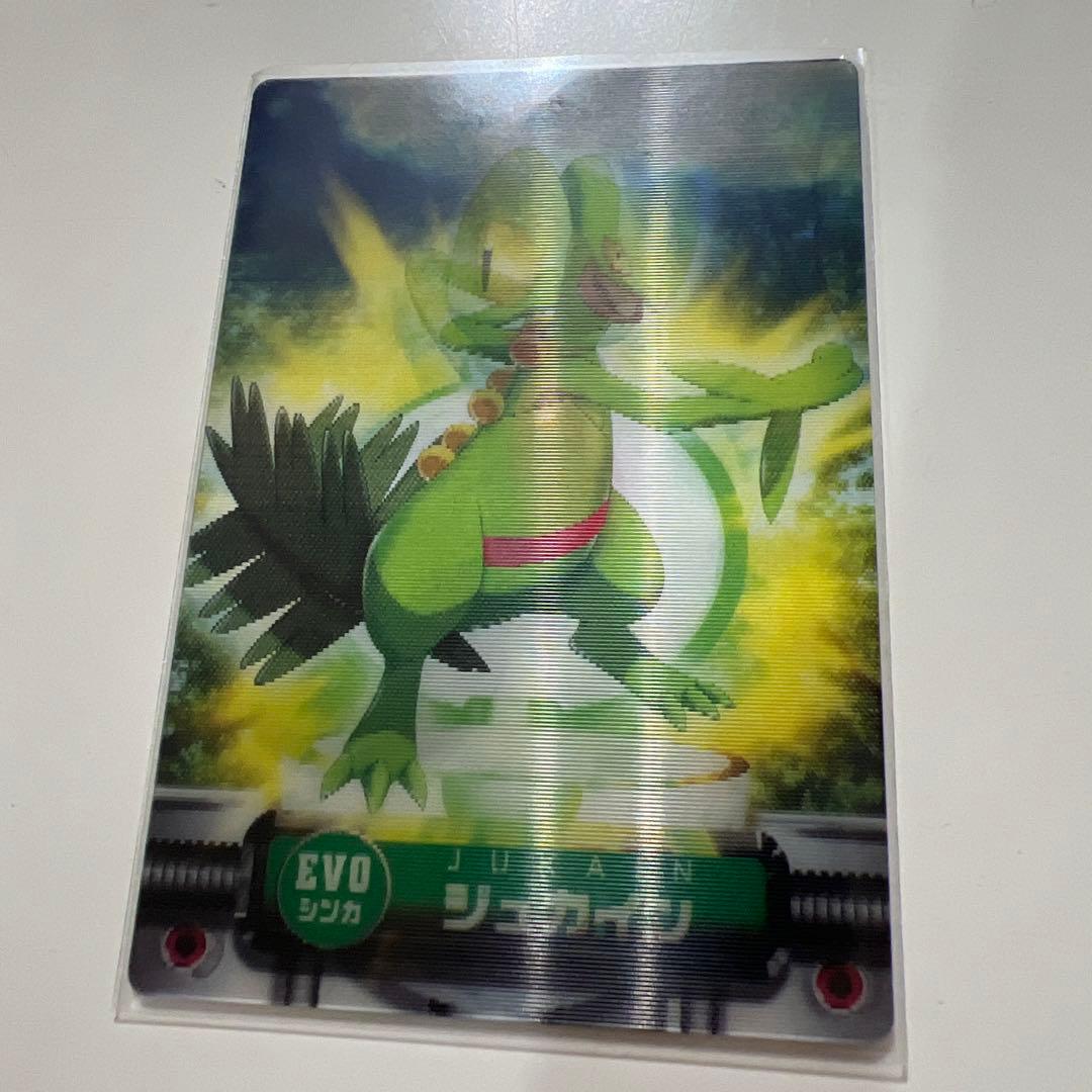 【ファイル保管】ポケモンカードダス　3dカード　まとめ売り　シンカ　ペア　10枚