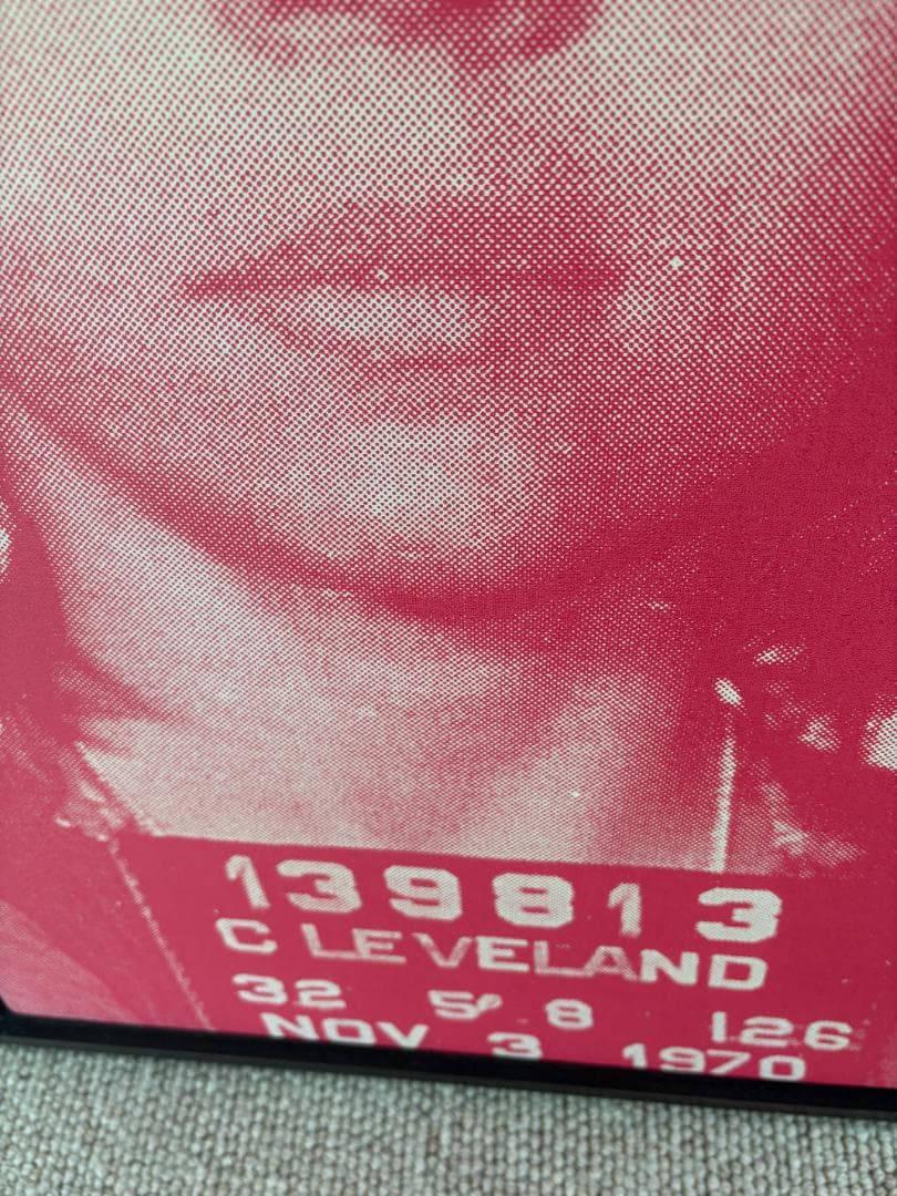 ラッセル ヤング「ジェーン フォンダ」キャンバス絵画（作家直筆サイン入り）