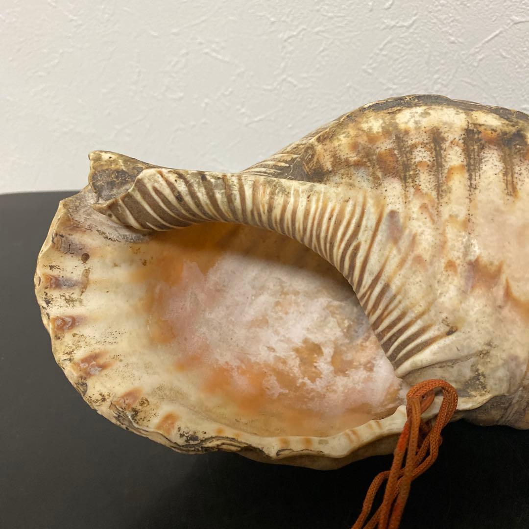 時代物 法螺貝 密教法具 武具 甲冑