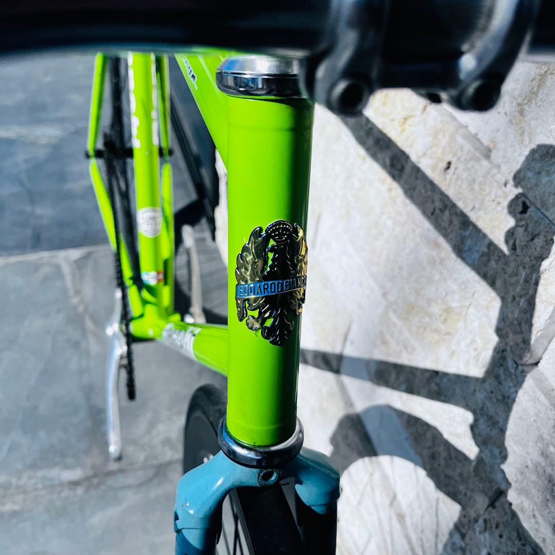 ビアンキpistaクロモリピストバイク シングルスピード