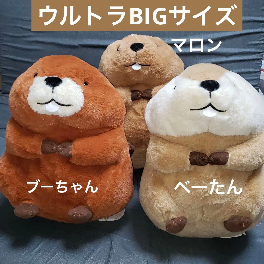 むっちりビーバーたっち ぬいぐるみ スーパー BIG 3個セット　バラ売り可