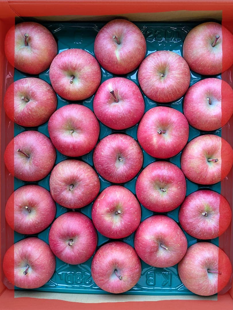 噂の林檎♡高徳♡46玉♡２段詰め♡10kg箱入♡