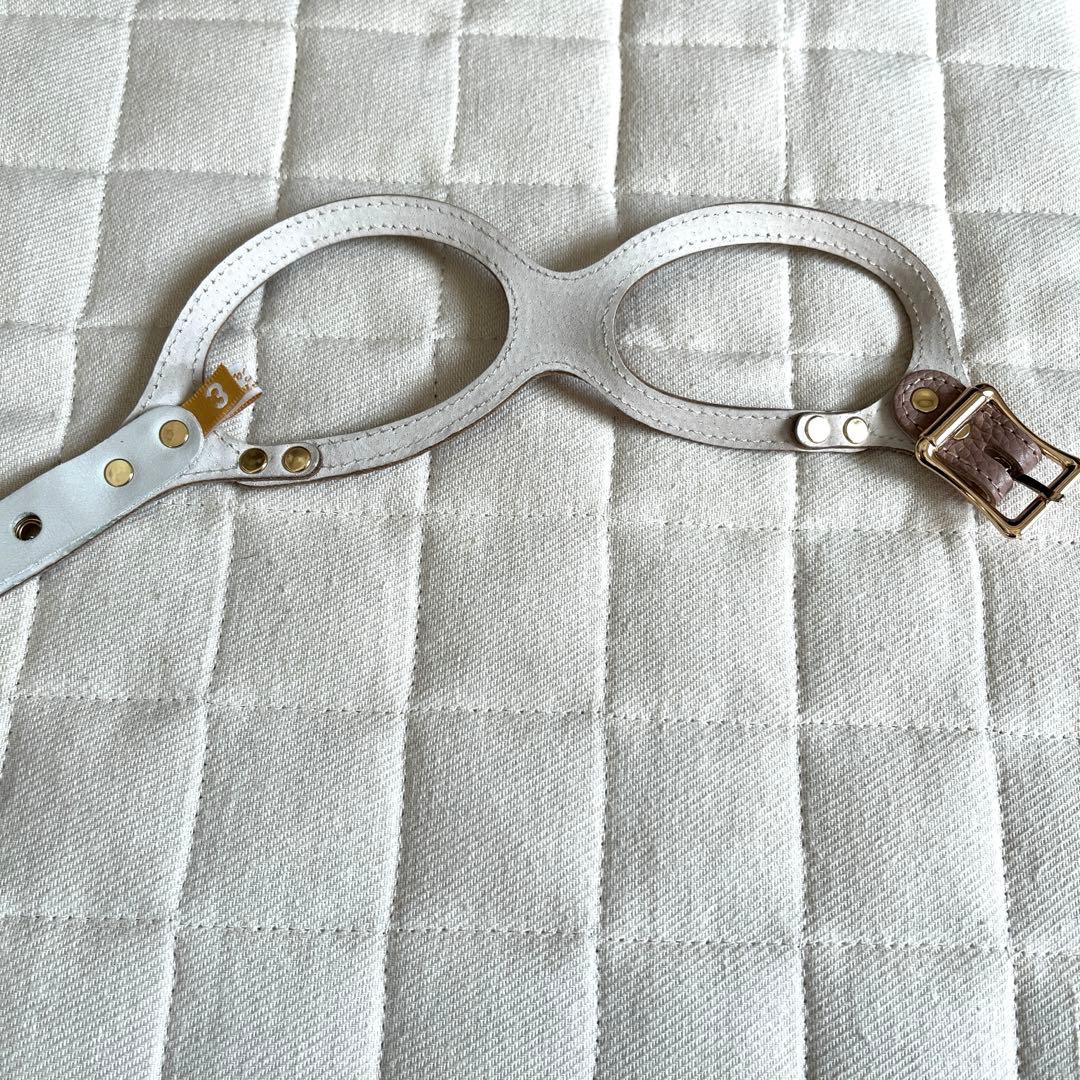 バディベルト3号 リード セット ラテ