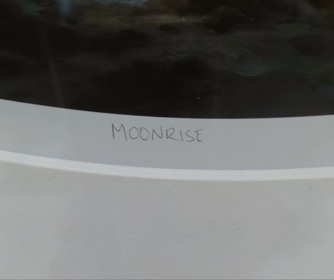 絵画 Roy Gonzalez Tabora