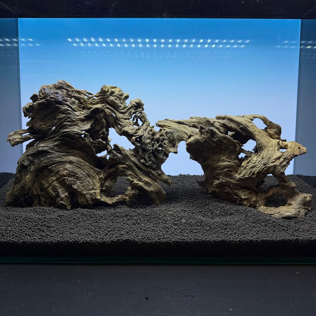 MJW-7237 「特選」ジンジャーウッド　60cm水槽用　天然流木3本セット