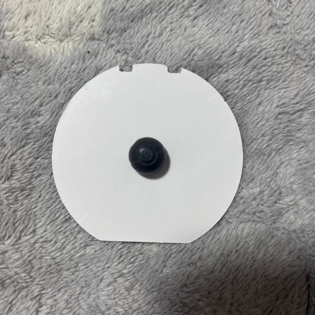 ポケパーク　ピンズ　ファイヤー