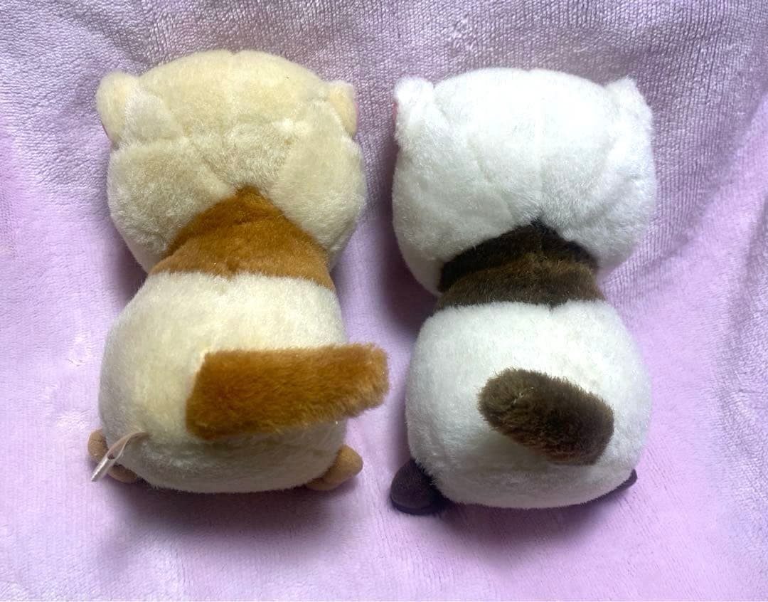 ぬいぐるみの三英　希少　たぬき　ペア　ぬいぐるみ　レトロ