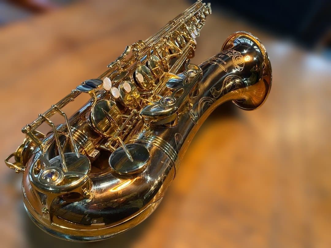 テナーサックス ヤナギサワ Yanagisawa T-WO20（ブロンズ）