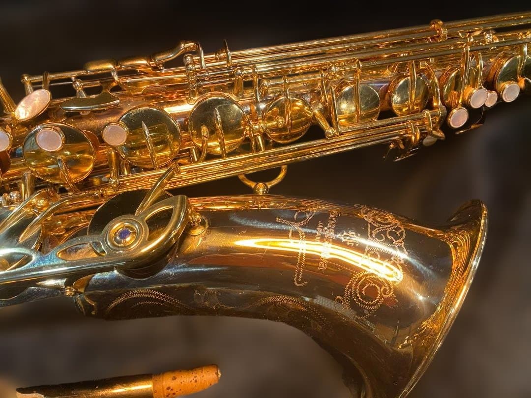 テナーサックス ヤナギサワ Yanagisawa T-WO20（ブロンズ）