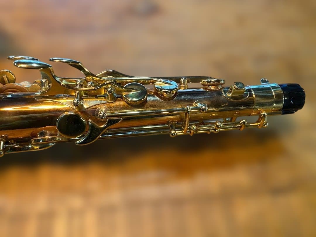 テナーサックス ヤナギサワ Yanagisawa T-WO20（ブロンズ）