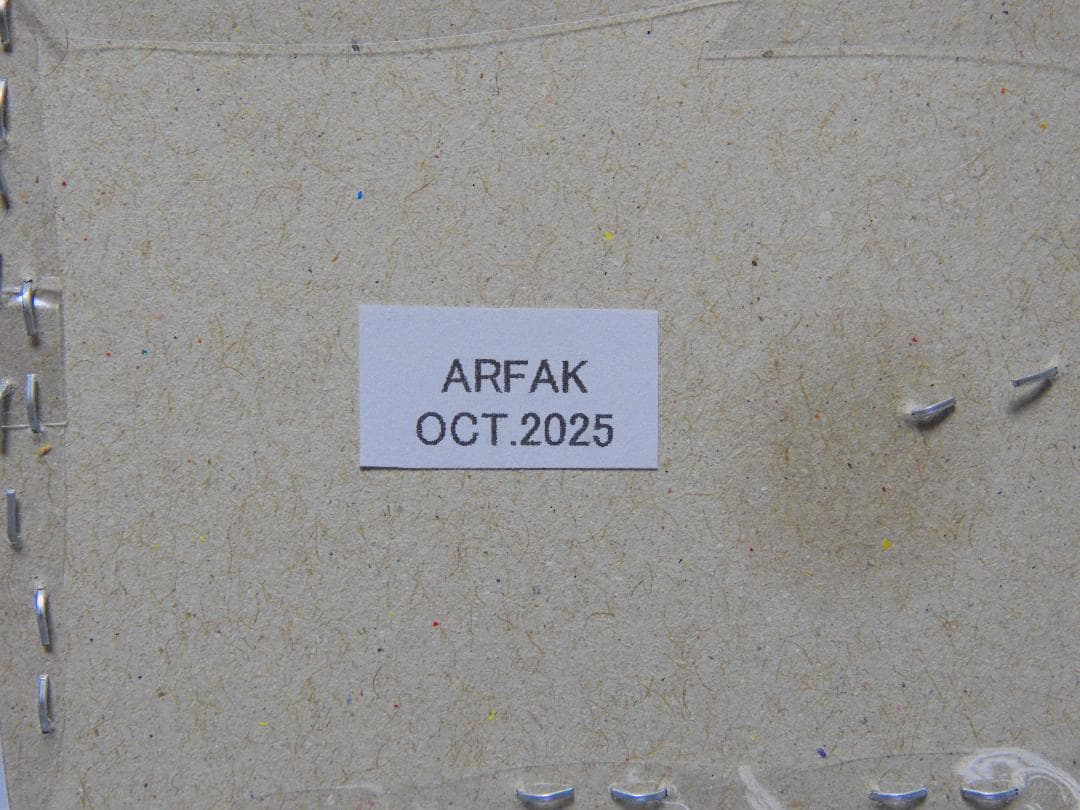 標本 Gnathonyx piceipennis Arfak 66mm