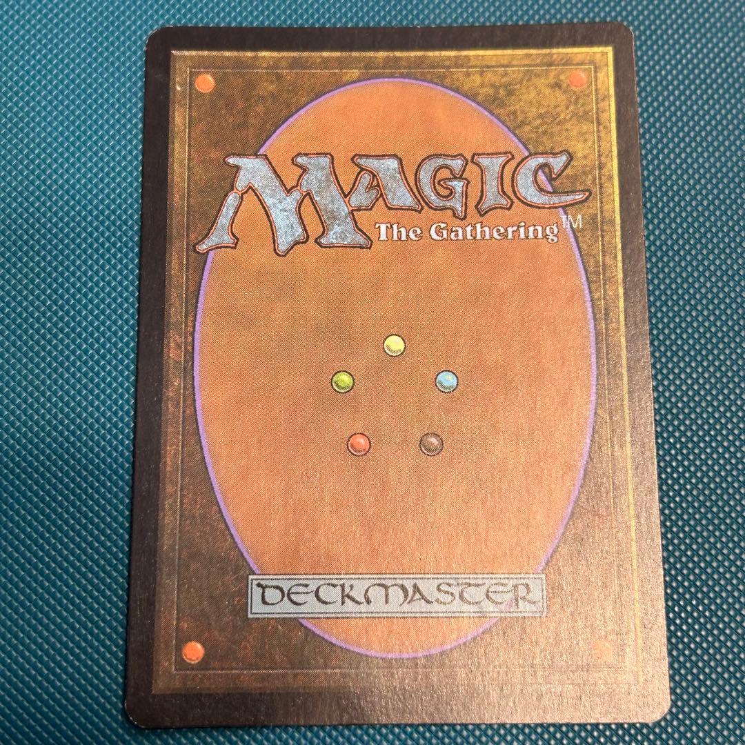 【ジャッジFoil】《吹きさらしの荒野/Windswept Heath》英語