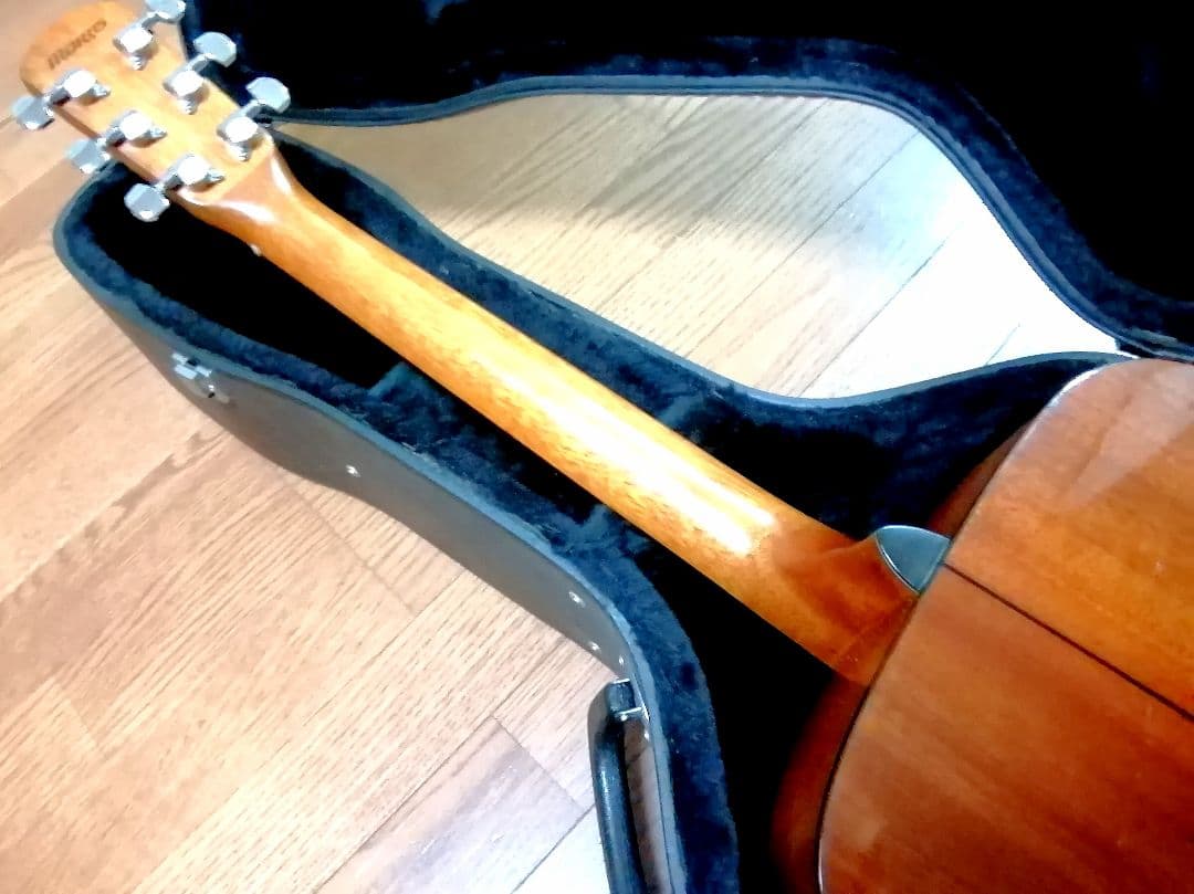 ★限定特価★コンパクトで弾きやすい★MORRIS F12-TS★トップ単板♪