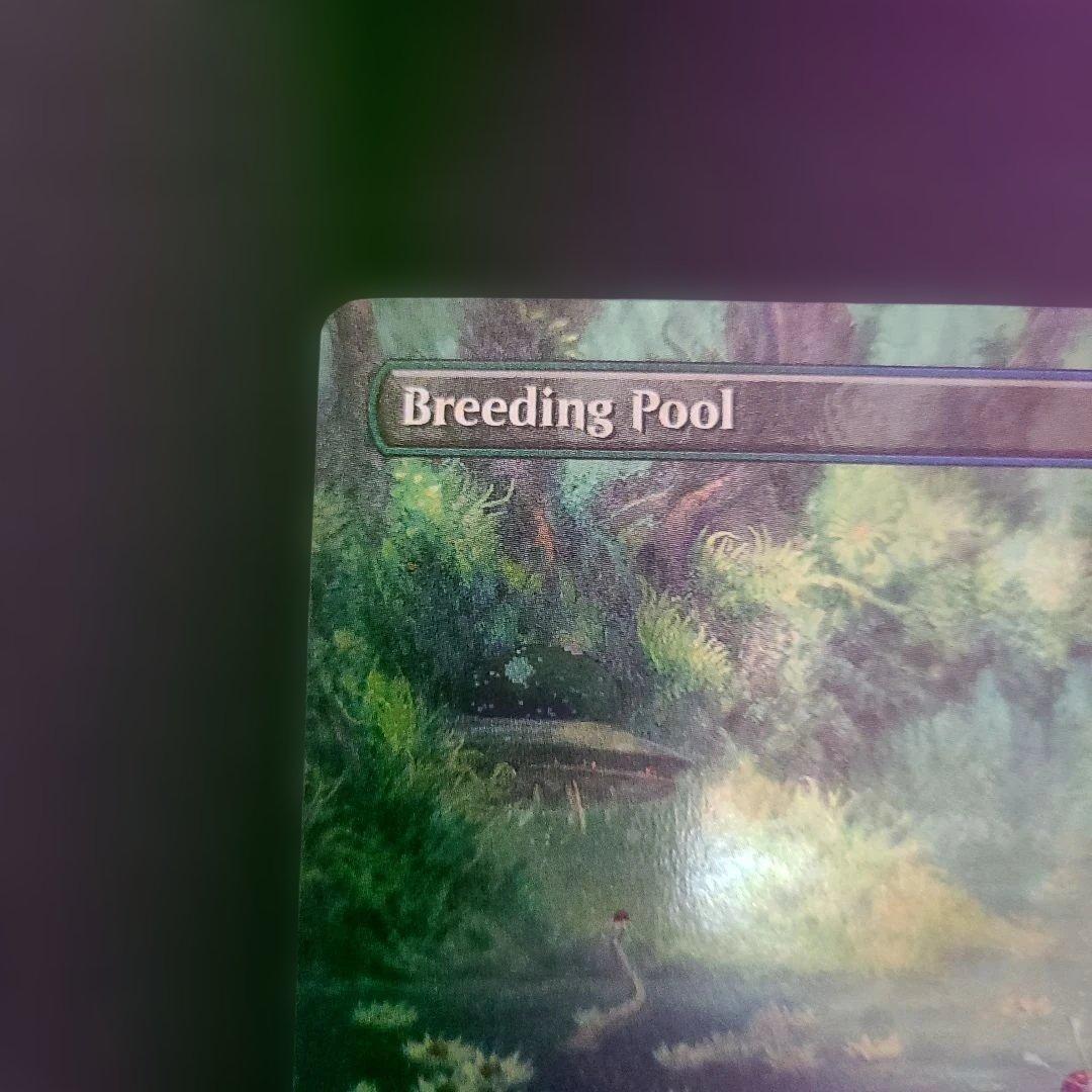 繁殖池/Breeding Pool UNF 英語　ボーダレスギャラクシーfoil