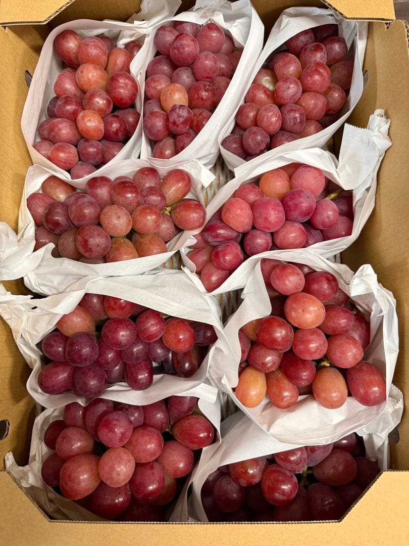 最終値下げ！16日発送！本日お昼12時まで受付【山梨県産】スカーレット 5kg