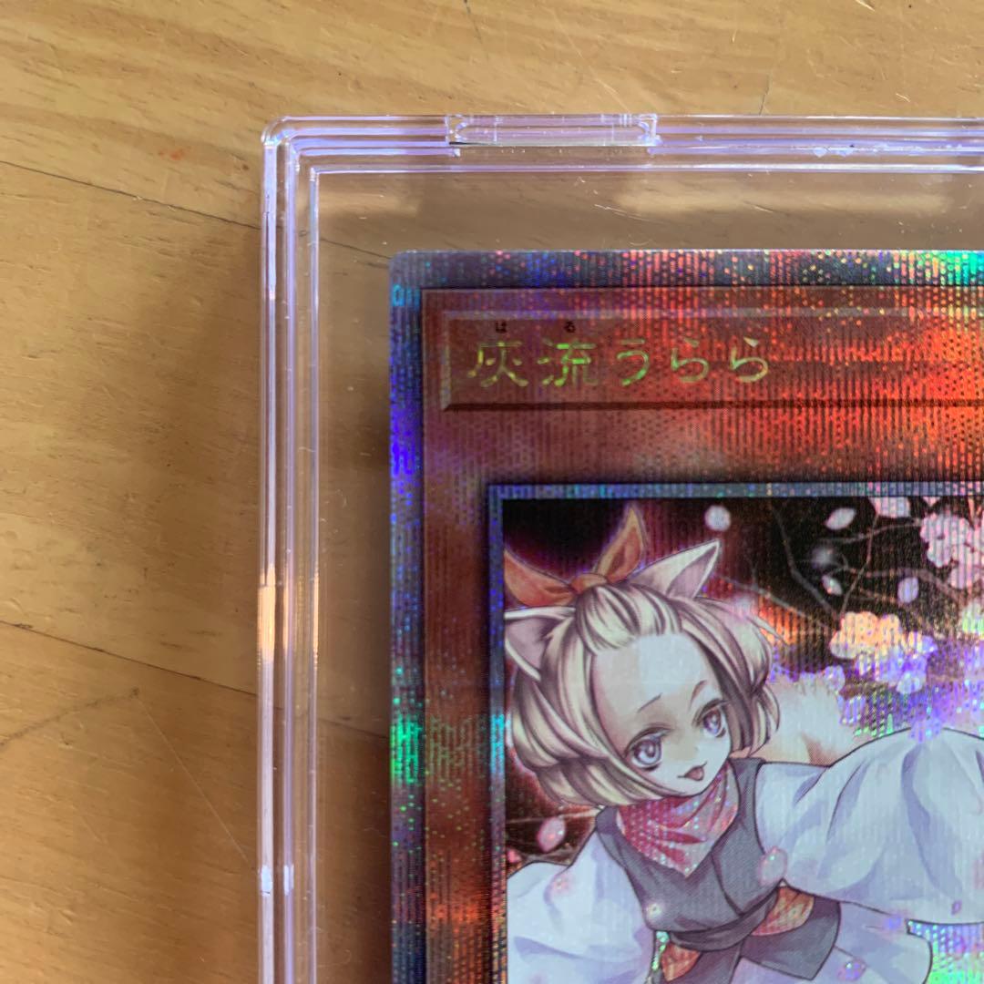 遊戯王　灰流うらら　25th 初期イラスト　傷あり