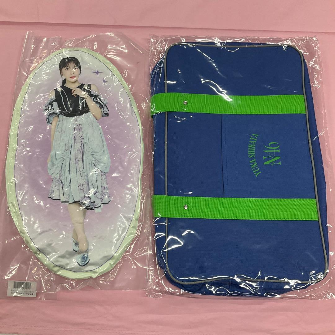柴田柚菜 個別 バッグ クッション lucky bag 2026