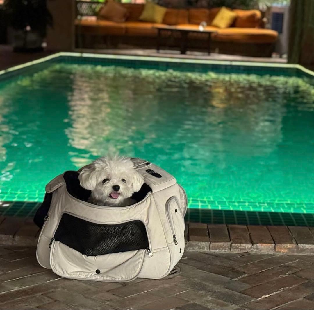 SSOOOK SLINGBAG (Lサイズ)