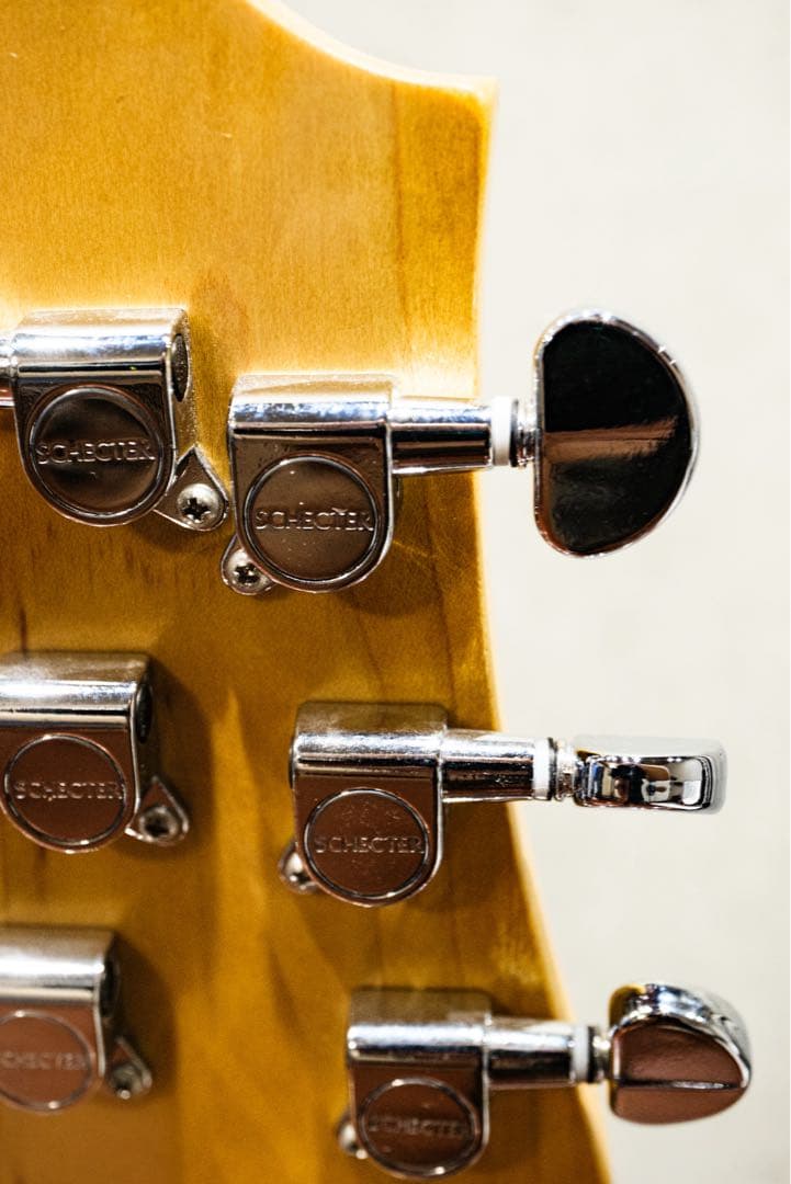 Schecter OMEN6 ソフトケース付き