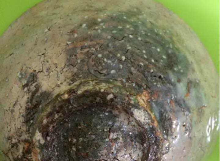 萩焼 三輪敏之作 平茶碗 共箱付き