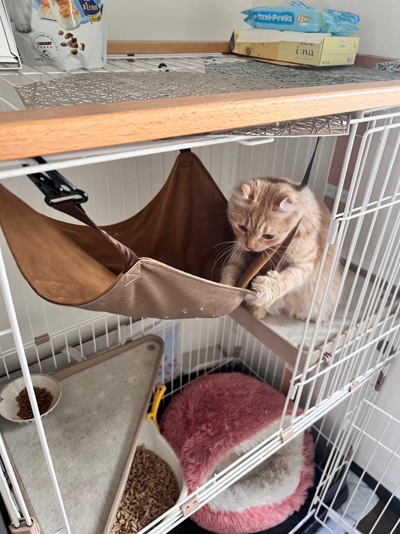 コジマのキャットケージ ハンモック付き　ウッドワンサークル