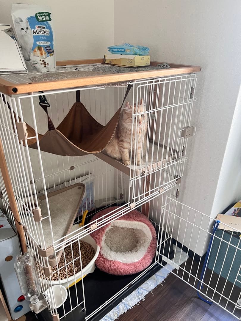 コジマのキャットケージ ハンモック付き　ウッドワンサークル