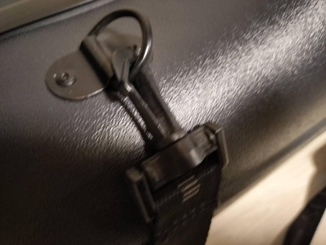 ☆セルマー　アルトサックス用 フライトケース Selmer