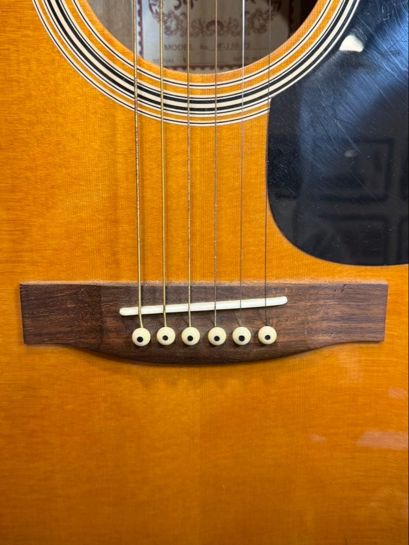 【送料込み】セピアクルー　W-130-TSアコースティックギター サンバースト