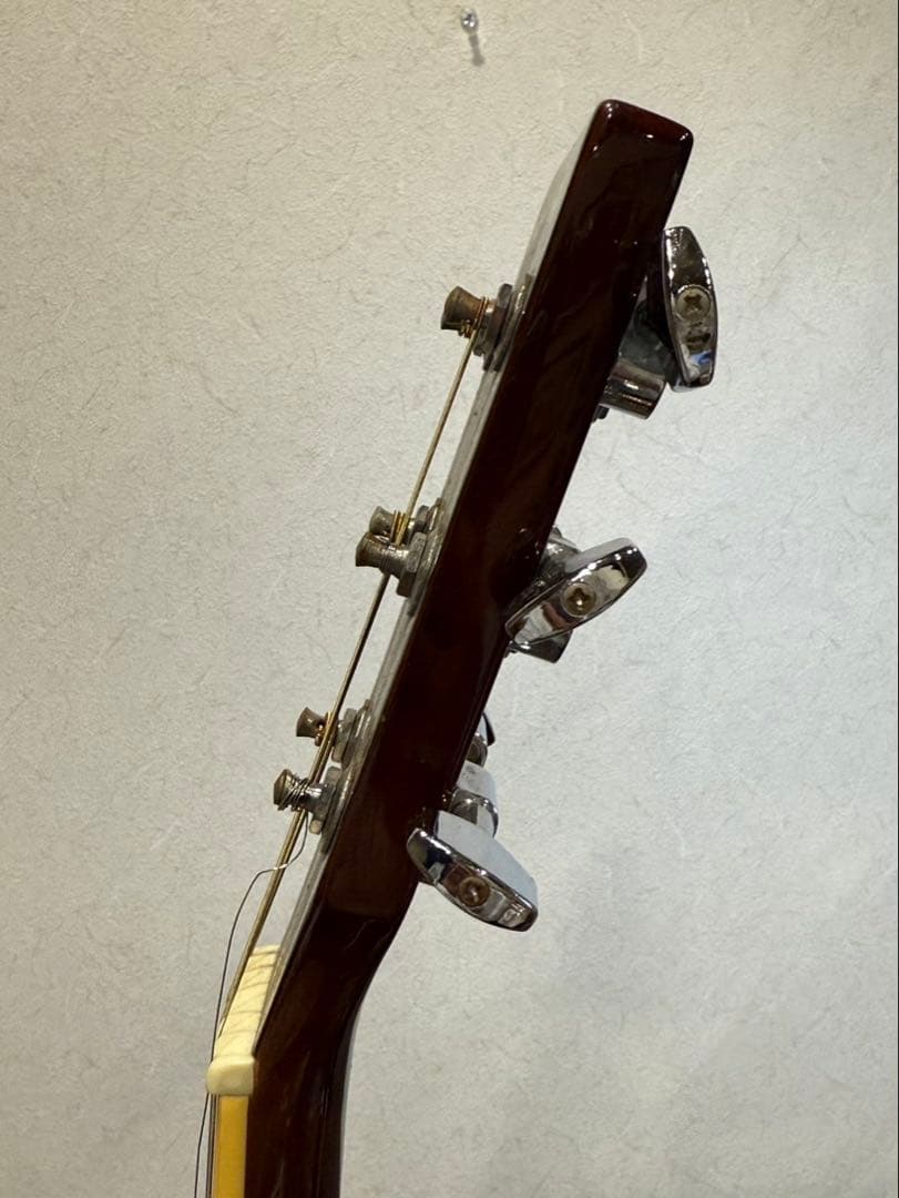 【送料込み】セピアクルー　W-130-TSアコースティックギター サンバースト