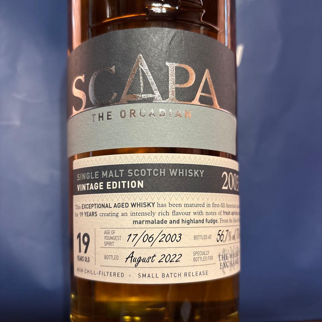 スキャパ　SCAPA 19年