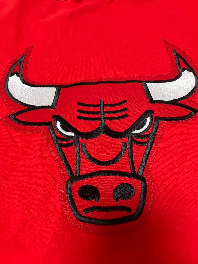 ビンテージ　シカゴ　ブルズ　トップス　チャンピオン