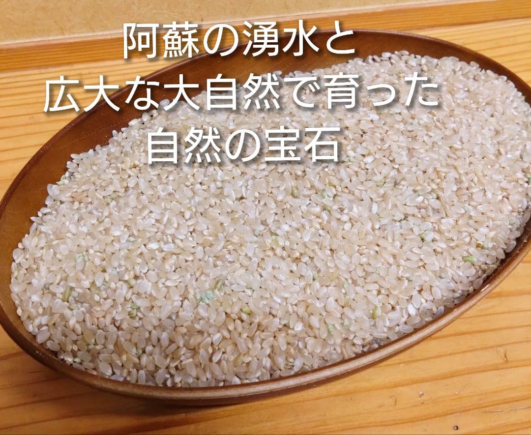 3 R7年 自然栽培米 2品種食べ比べセット10kg（5kg×2）玄米 セット