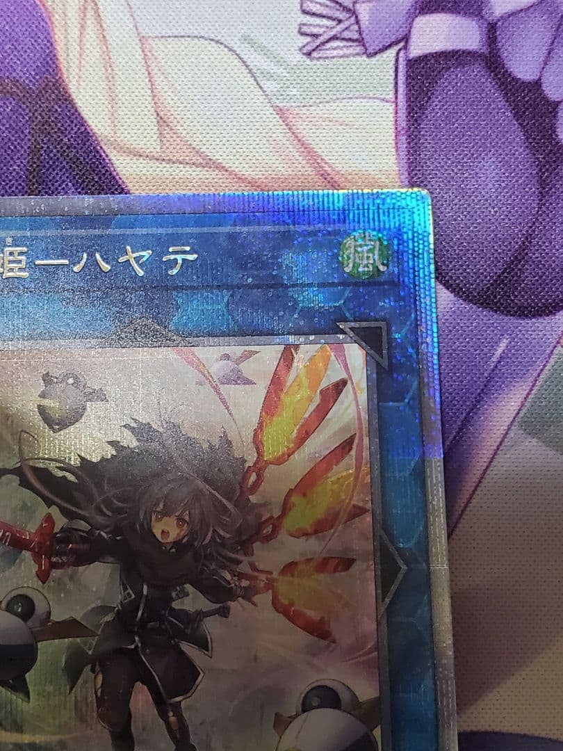 遊戯王　閃刀姫ハヤテ　25th　絵違い