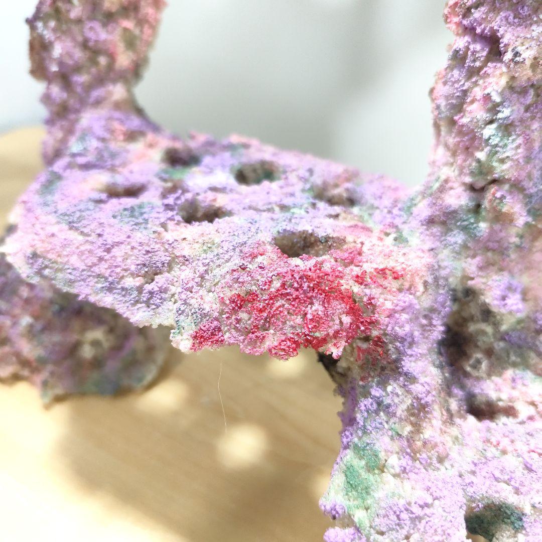 プラグ穴付き アク抜き不要人工ライブロック 海水水槽 レプリカ コーラルフラグ9