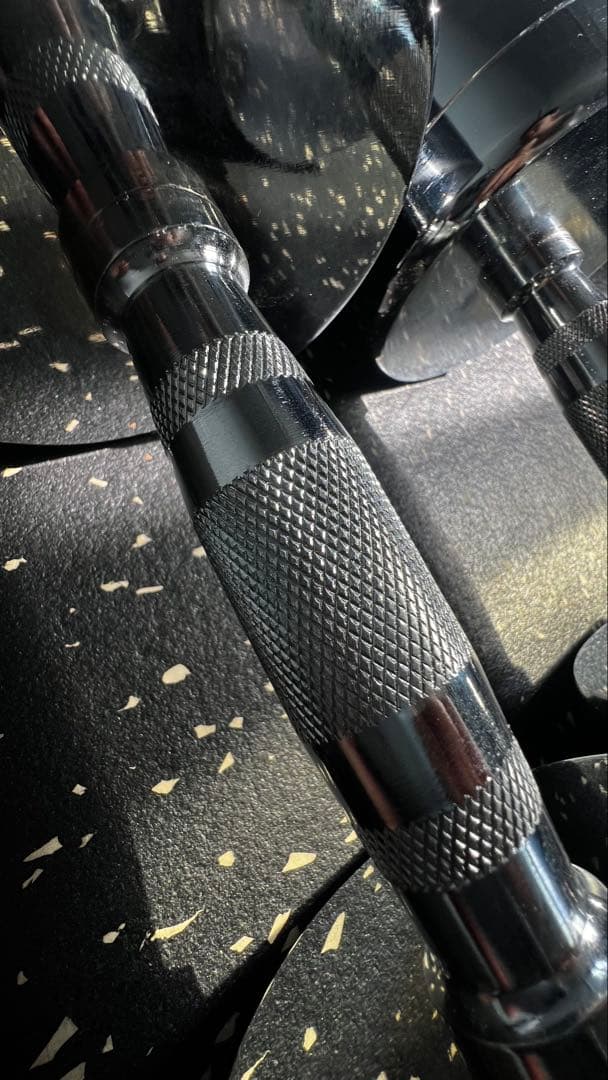 最終値下げ RITFIT ステンレスダンベル 14kg (2本)