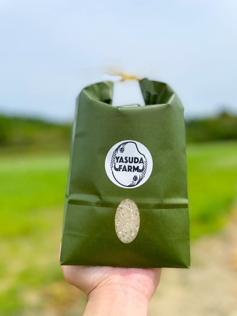 新米✳︎ゆめぴりか✳︎北海道産＊農家直送＊送料込み＊美味しいお米＊5キロ×2