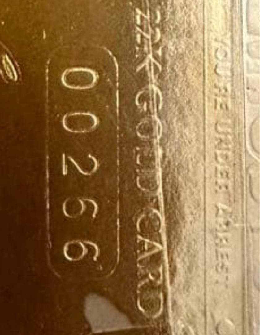 逮捕しちゃうぞ 22kカード 当時物 シリアル付き　k18 22k 純金　k24