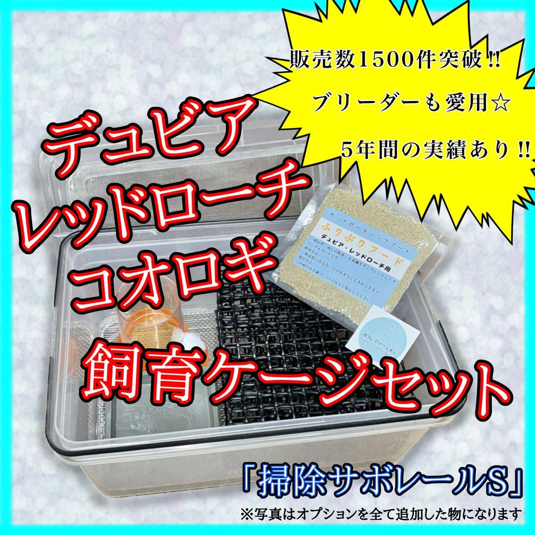 いふ様　S(フル)