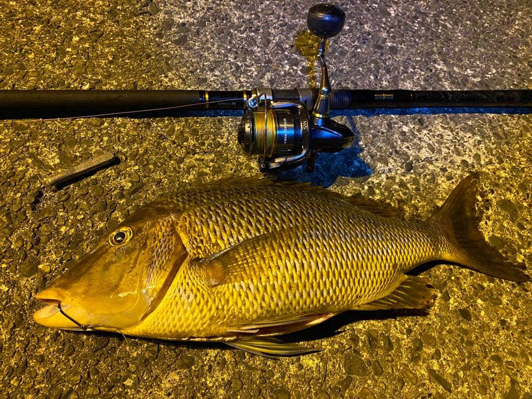 15 ツインパワーsw6000HG