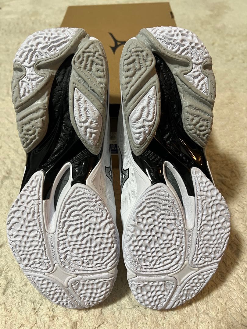 ミズノバレーボールシューズ新作　24.5cm